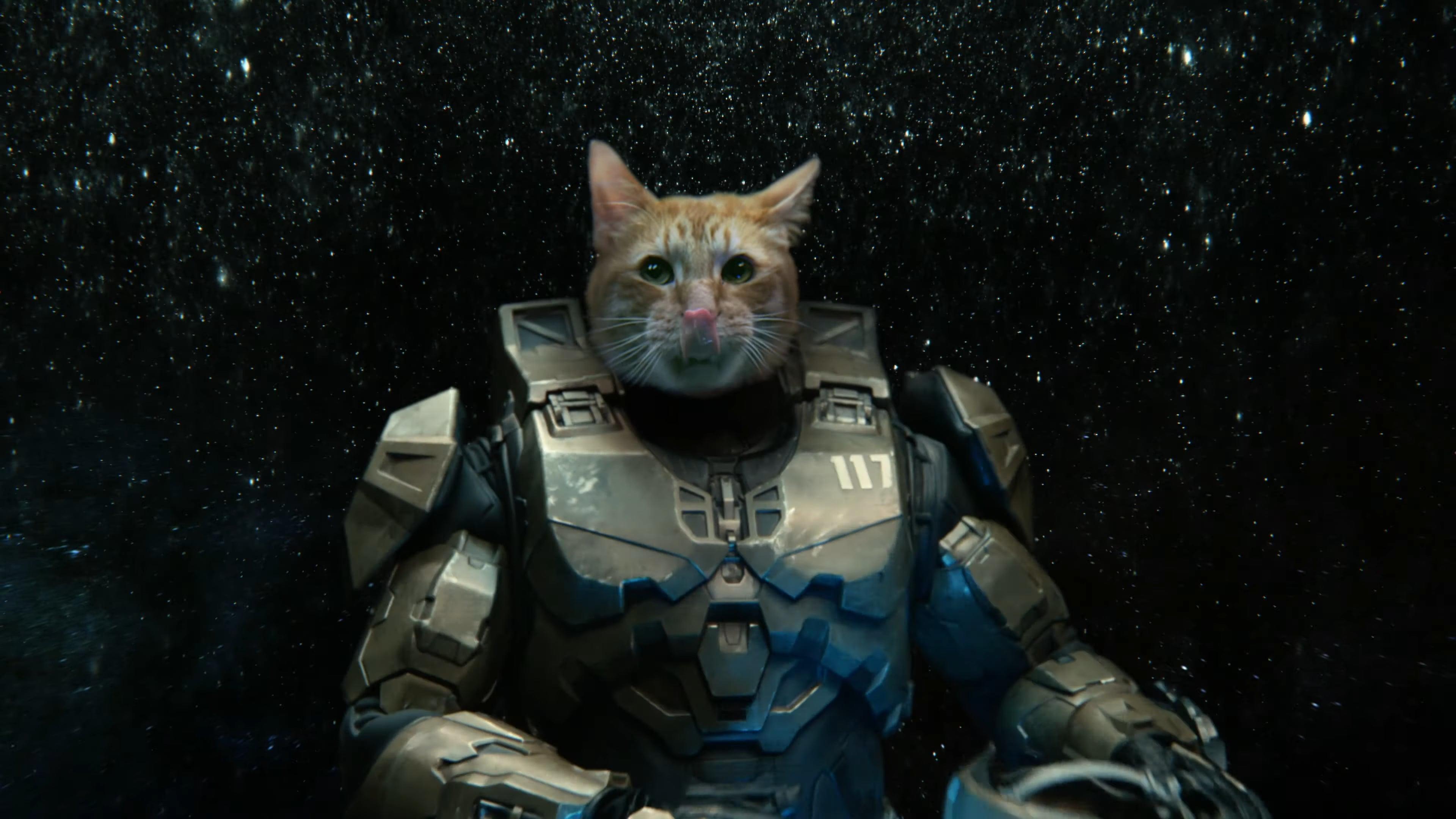 Тайка Вайтити снял рекламу для Xbox Series X. В ней есть кот-космонавт