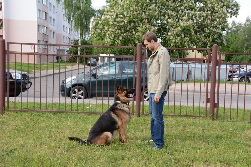 Мухтар новый след заставка титры