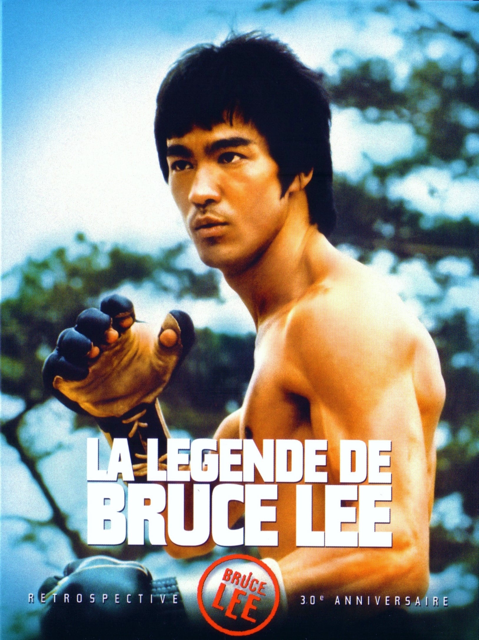 Человек легенда. Постер the Legend of Bruce Lee (2008). Bruce Lee 1984. Bruce Lee человек Легенда. Брюс ли человек Легенда 1984.