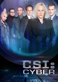 CSI: Киберпространство