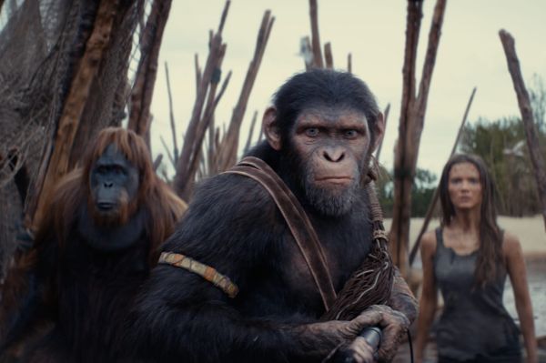 Анархия и ярость: рецензия на фильм «Планета обезьян: Новое царство»