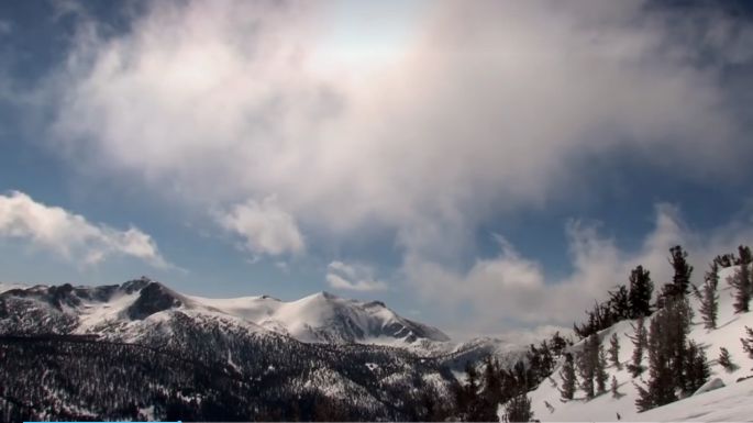 Прекрасное чудовище (La belle bête), фильм - смотреть онлайн, актеры, фото и видео