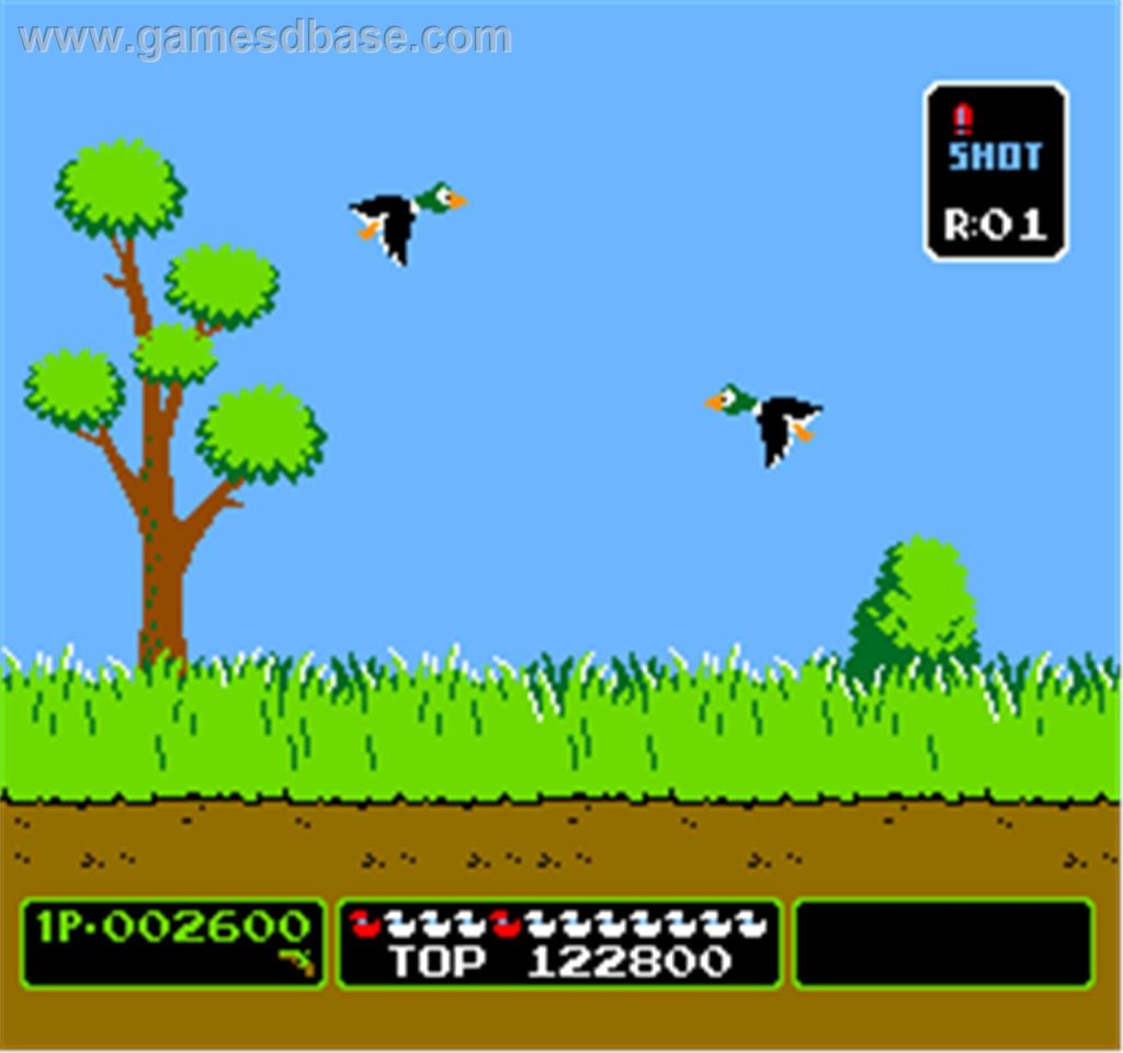 Duck Hunt