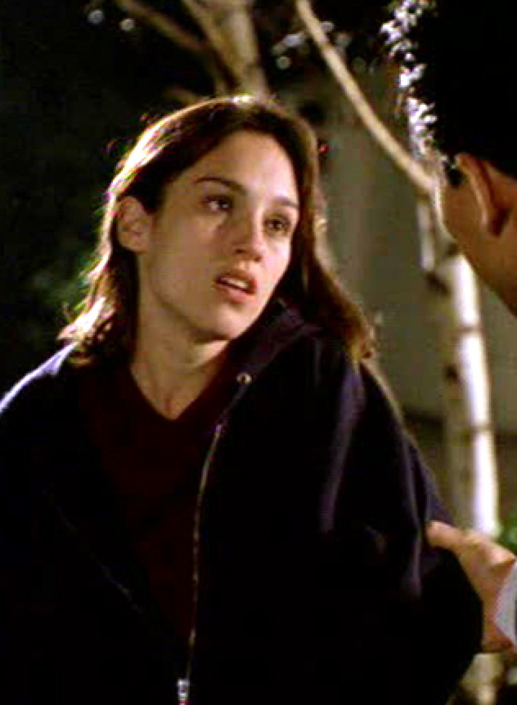 Amy Jo Johnson Fake