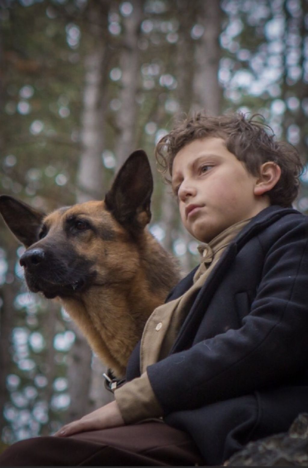 Моя собака. Моя собака - герой фильм 2018. Мой пёс герой фильм. Shepherd: the story of a Jewish Dog. Shepherd: the story of a Jewish Dog фильм кадры.