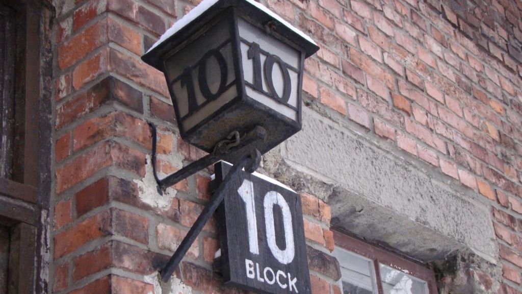 Сделано в Освенциме: Нерассказанные истории блока № 10