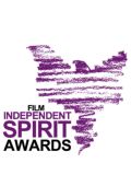 Церемония вручения премии Independent Spirit Awards 2013