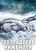 100 градусов ниже нуля