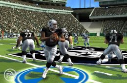 Скриншот из игры «Madden NFL 09»