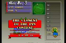 Скриншот из игры «Neo Turf Masters»