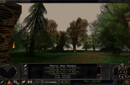 Скриншот из игры «Wizardry 8»