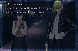 Скриншот из игры «Fate/Stay Night»