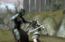 Скриншот из игры «Neverwinter Nights 2»