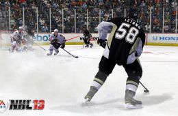 Скриншот из игры «NHL 13»