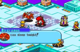 Скриншот из игры «Digimon World DS»