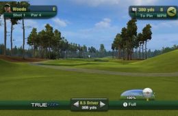 Скриншот из игры «Tiger Woods PGA Tour 11»