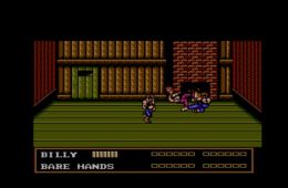 Скриншот из игры «Double Dragon III: The Sacred Stones»