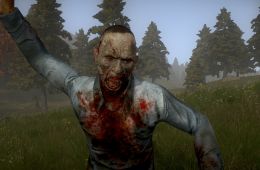 Скриншот из игры «H1Z1»