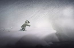 Скриншот из игры «Never Alone: Kisima Ingitchuna»