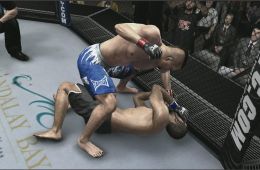 Скриншот из игры «UFC 2009 Undisputed»