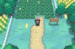 Скриншот из игры «Pokémon Black Version»