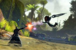 Скриншот из игры «Guild Wars 2»