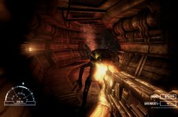 Скриншот из игры «Aliens vs. Predator»