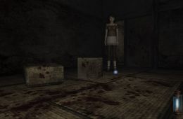 Скриншот из игры «Fatal Frame II: Crimson Butterfly»