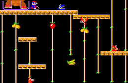 Скриншот из игры «Donkey Kong Junior»