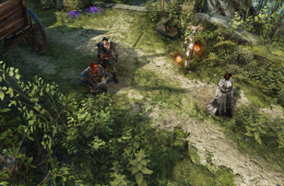 Скриншот из игры «Divinity: Original Sin II»