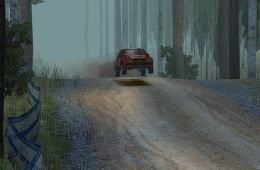 Скриншот из игры «Colin McRae Rally 04»