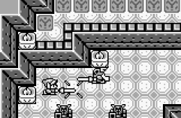Скриншот из игры «The Legend of Zelda: Link's Awakening»