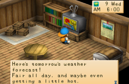 Скриншот из игры «Harvest Moon: Back to Nature»
