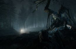 Скриншот из игры «Blair Witch»