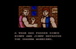 Скриншот из игры «Double Dragon III: The Sacred Stones»