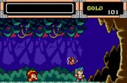 Скриншот из игры «Wonder Boy in Monster World»