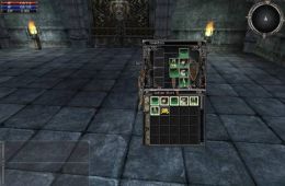 Скриншот из игры «Last Chaos»