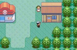 Скриншот из игры «Pokémon Ruby Version»