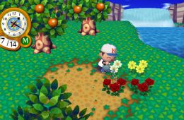 Скриншот из игры «Animal Crossing: City Folk»