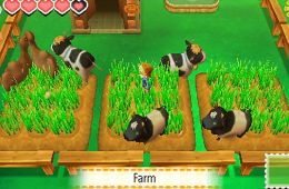 Скриншот из игры «Story of Seasons»