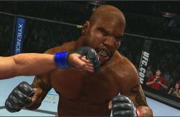 Скриншот из игры «UFC 2009 Undisputed»