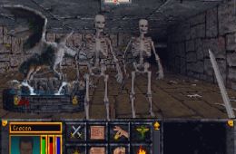 Скриншот из игры «The Elder Scrolls: Arena»
