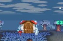 Скриншот из игры «Animal Crossing: Wild World»