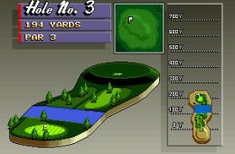 Скриншот из игры «Neo Turf Masters»