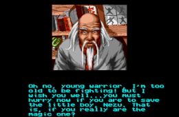 Скриншот из игры «Shaq-Fu»