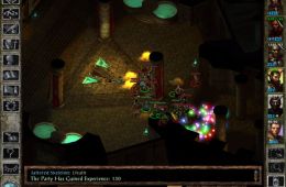 Скриншот из игры «Icewind Dale»