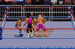 Скриншот из игры «WWF Royal Rumble»