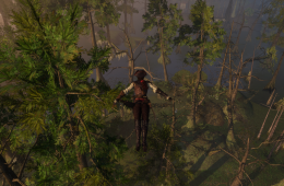 Скриншот из игры «Assassin's Creed III: Liberation»