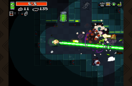 Скриншот из игры «Nuclear Throne»