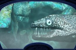 Скриншот из игры «Nancy Drew: The Creature of Kapu Cave»